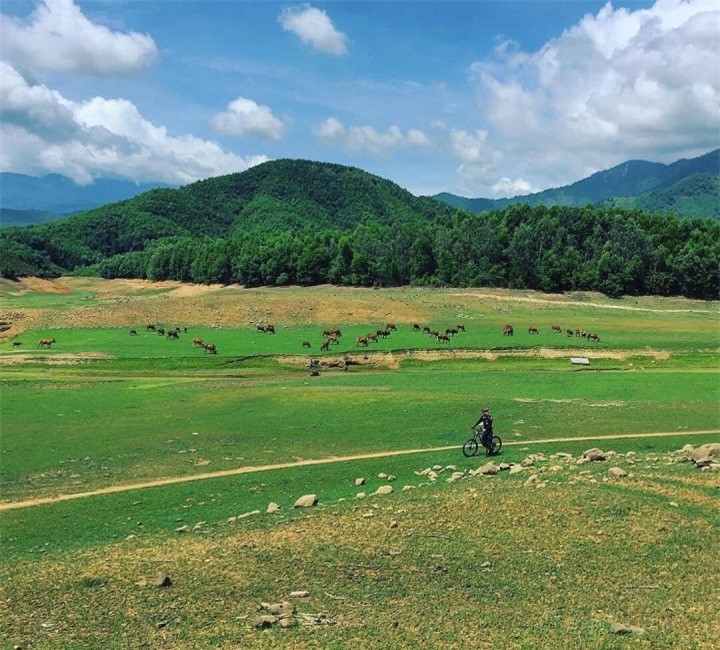 Hidden Gem In Da Nang: Hoa Trung Dreamy Floating Steppe Hidden Gem In Da Nang: Hoa Trung Dreamy Floating Steppe