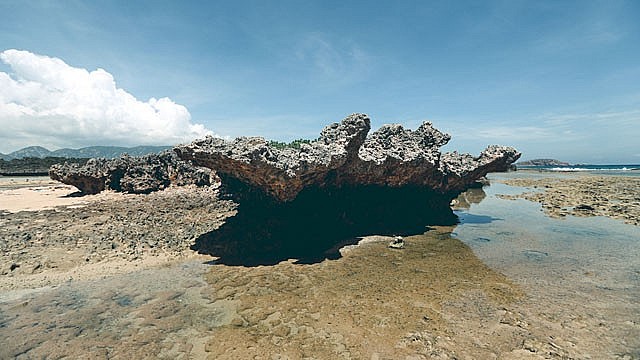 Explore the Million-Year-Old 'Stone Park' in Ninh Thuan Explore the Million-Year-Old 'Stone Park' in Ninh Thuan
