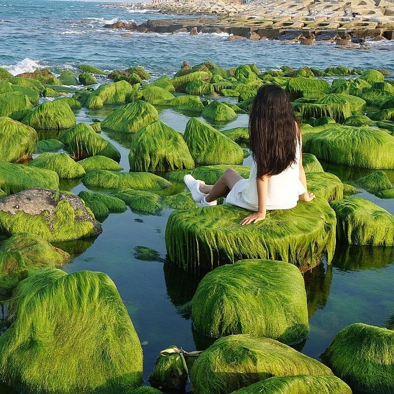 Explore the Million-Year-Old 'Stone Park' in Ninh Thuan Explore the Million-Year-Old 'Stone Park' in Ninh Thuan
