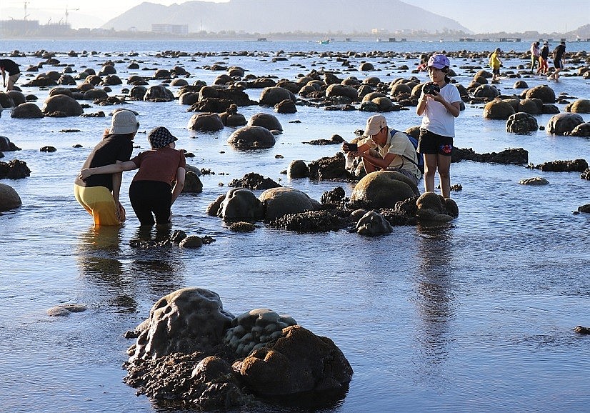Explore the Million-Year-Old 'Stone Park' in Ninh Thuan Explore the Million-Year-Old 'Stone Park' in Ninh Thuan