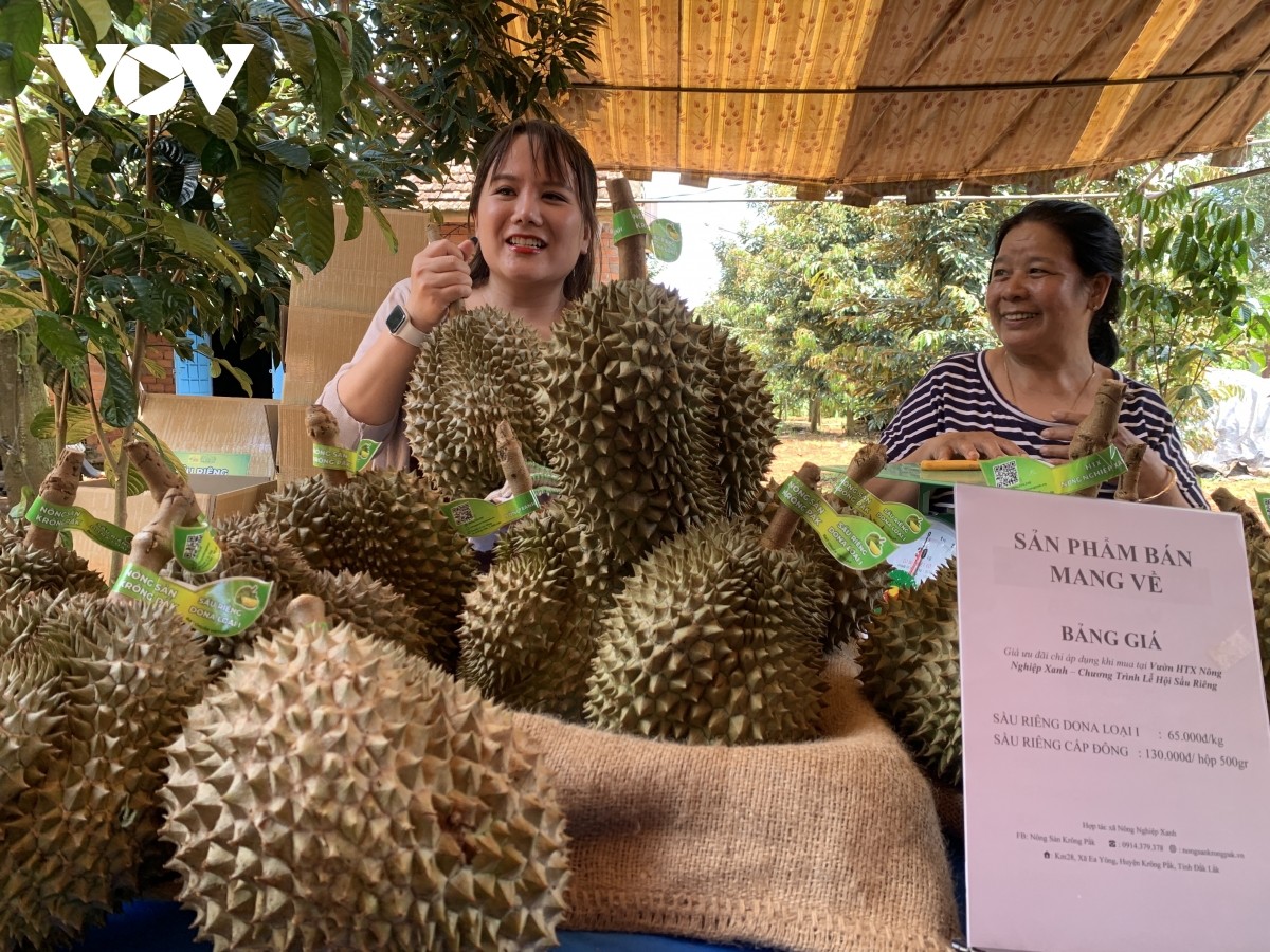 Lễ hội sầu riêng Prông Pắk thu hút người dân và du khách Lễ hội sầu riêng Prông Pắk thu hút người dân và du khách