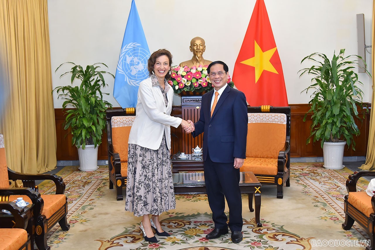 UNESCO sẽ tiếp tục hỗ trợ Việt Nam trên nhiều lĩnh vực UNESCO sẽ tiếp tục hỗ trợ Việt Nam trên nhiều lĩnh vực