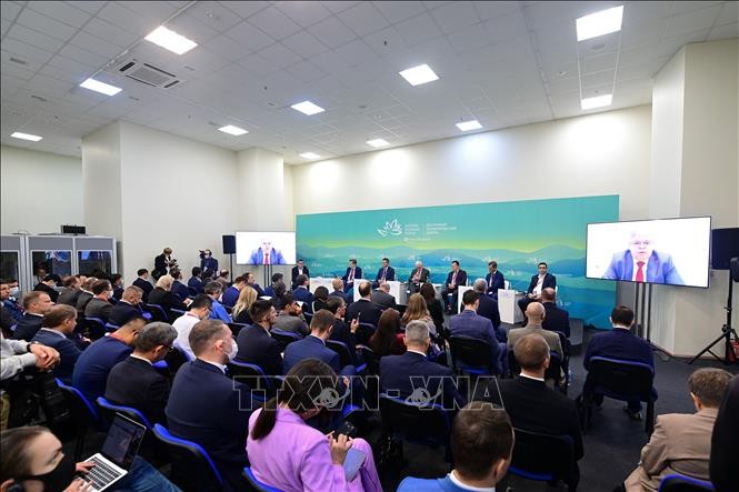2022 Eastern Economic Forum: Vietnam, Russia Hold Business Dialogue 2022 Eastern Economic Forum: Vietnam, Russia Hold Business Dialogue