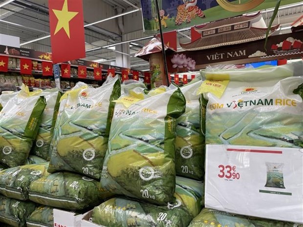 Vietnam's Rice Export to the Philippines Hit Record Level Vietnam's Rice Export to the Philippines Hit Record Level