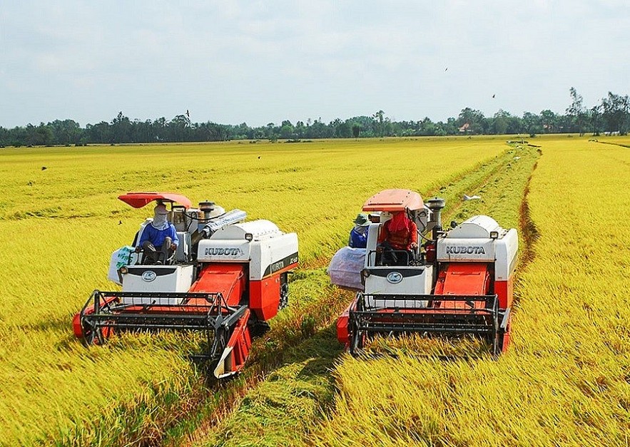 Experts Share Views on Vietnam's Economic Year Experts Share Views on Vietnam's Economic Year