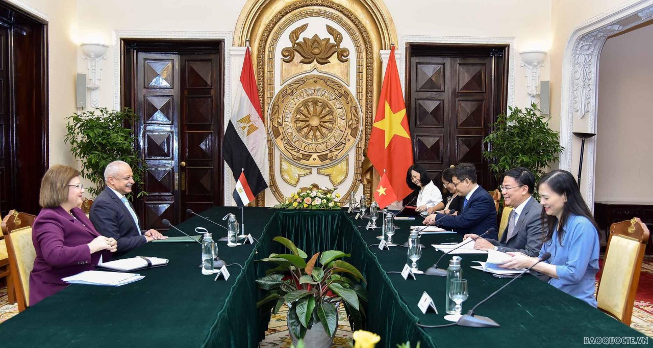 Ninth Vietnam-Egypt Political Consultation Held in Hanoi Ninth Vietnam-Egypt Political Consultation Held in Hanoi