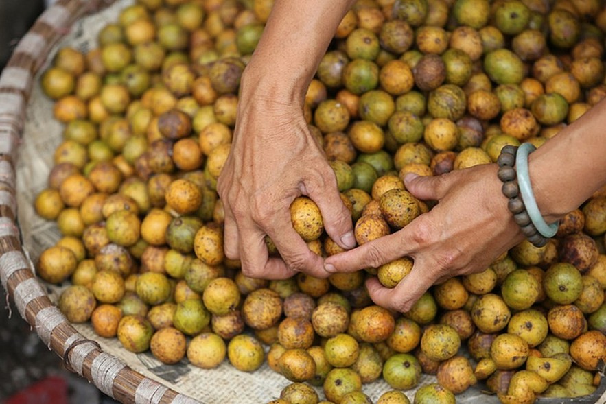 Hanoi Delicacies in Autumn Hanoi Delicacies in Autumn