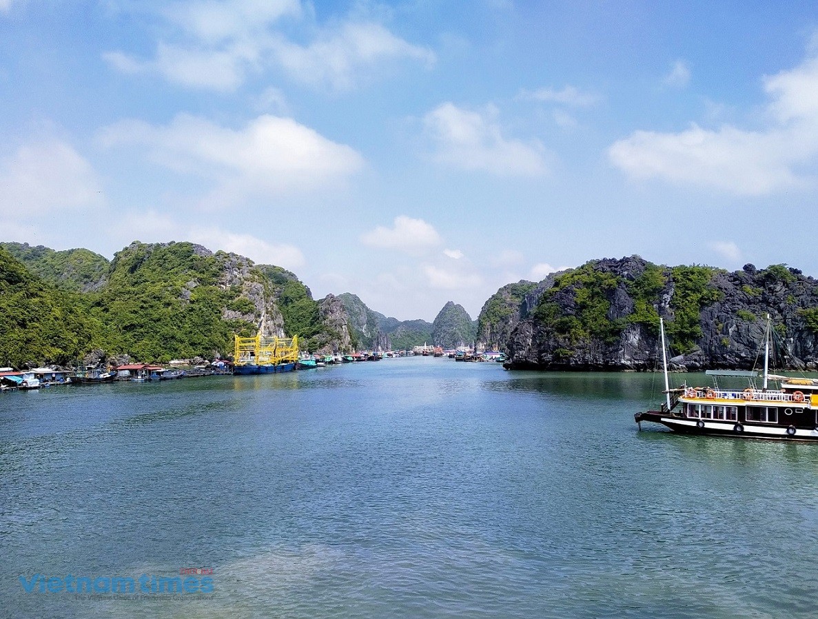 Ha Long Bay-Cat Ba Archipelago Becomes World Natural Heritage Site Ha Long Bay-Cat Ba Archipelago Becomes World Natural Heritage Site