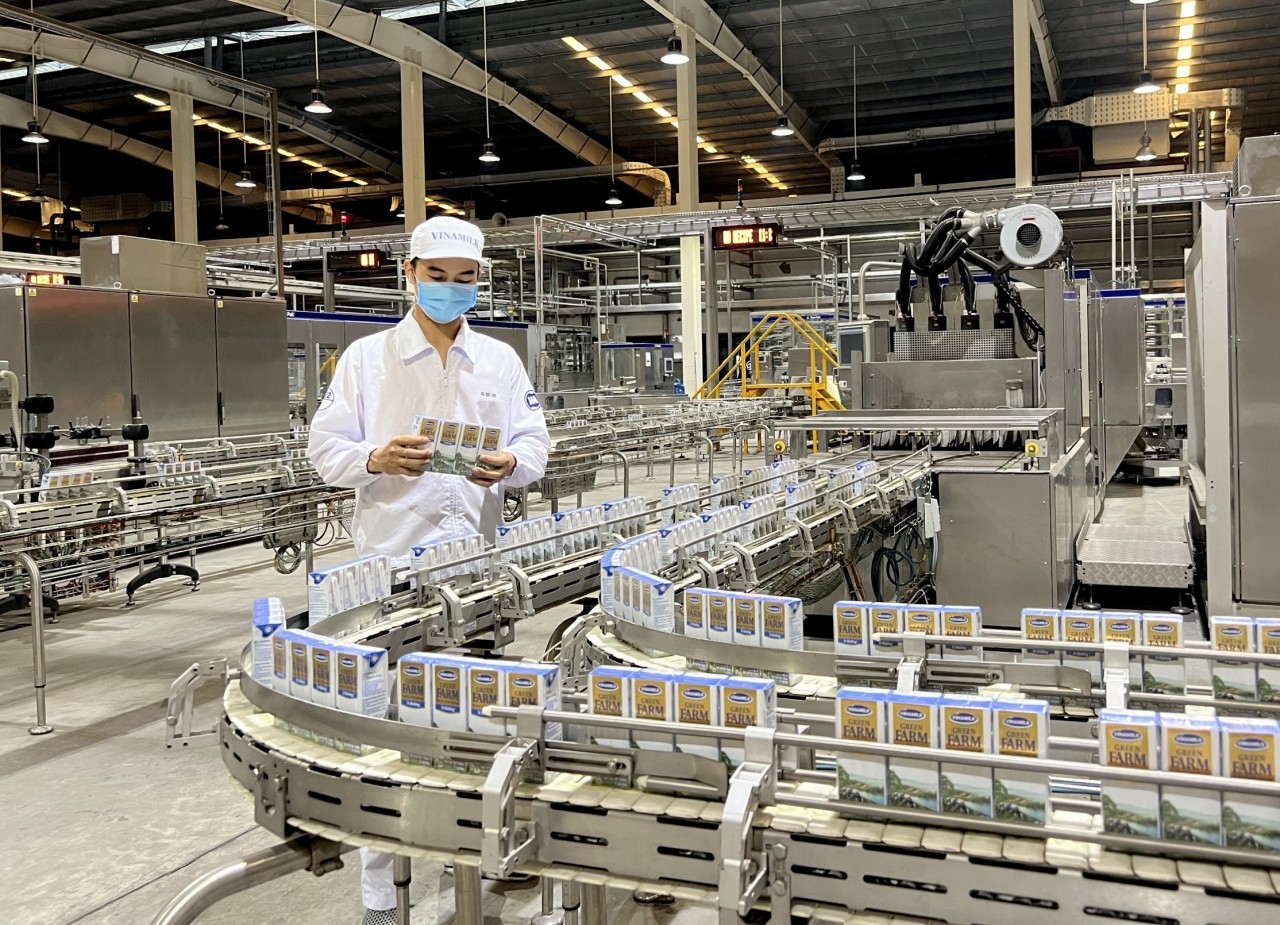 Các nhà máy sản xuất sữa tươi Vinamilk Green Farm tuân thủ nghiêm ngặt các quy định về an toàn thực phẩm và bảo vệ môi trường.