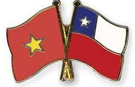 77 năm Quốc khánh: Việt Nam luôn là đối tác tin cậy của Chile | Chính trị | Vietnam+ (VietnamPlus) 77 năm Quốc khánh: Việt Nam luôn là đối tác tin cậy của Chile | Chính trị | Vietnam+ (VietnamPlus)