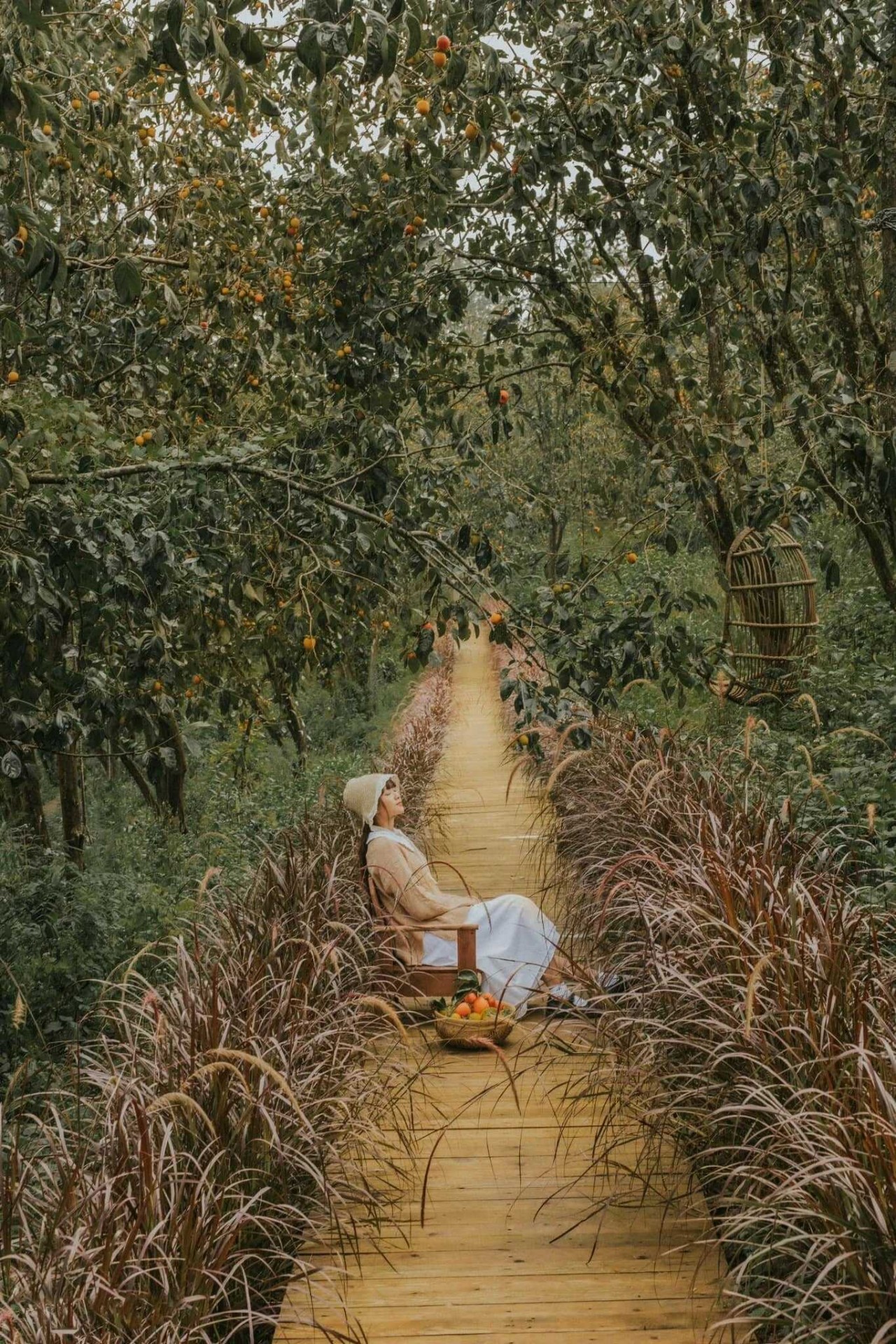 Photo: Vuon hong Nha Tom Photo: Vuon hong Nha Tom