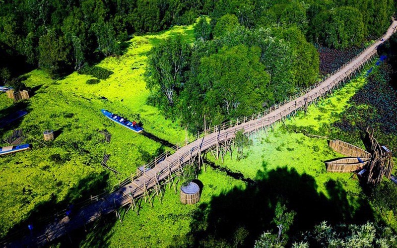 Về rừng tràm Trà Sư, An Giang Về rừng tràm Trà Sư, An Giang