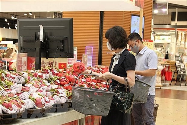 Hợp tác kinh tế Việt Nam-Nhật Bản hướng tới giai đoạn phát triển mới | Kinh doanh | Vietnam+ (VietnamPlus) Hợp tác kinh tế Việt Nam-Nhật Bản hướng tới giai đoạn phát triển mới | Kinh doanh | Vietnam+ (VietnamPlus)