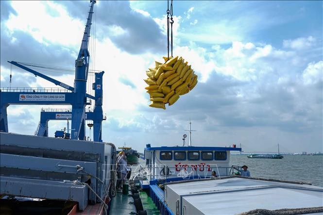 Báo Italy: Việt Nam sẽ trở thành "Con hổ mới ở châu Á" Báo Italy: Việt Nam sẽ trở thành "Con hổ mới ở châu Á"