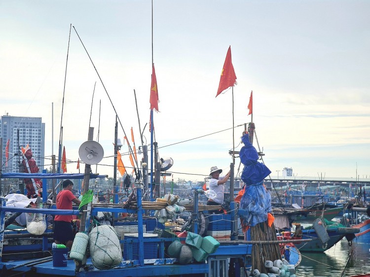 Ngư dân Đà Nẵng sẵn sàng chuẩn bị ra khơi sau khi bão tan (Ảnh: Nhật Anh/ VGP). Ngư dân Đà Nẵng sẵn sàng chuẩn bị ra khơi sau khi bão tan (Ảnh: Nhật Anh/ VGP).