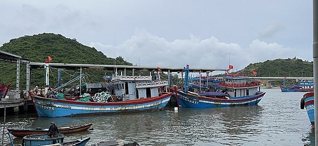 tàu thuyền được gia cố, neo đậu an toàn ở cảng cá Tam Quan (Bình Định). Ảnh: Sỹ Thắng-TTXVN tàu thuyền được gia cố, neo đậu an toàn ở cảng cá Tam Quan (Bình Định). Ảnh: Sỹ Thắng-TTXVN