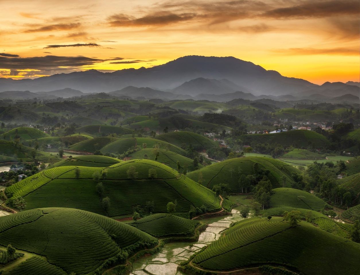 Photo: Nguyen Thanh Tuan Photo: Nguyen Thanh Tuan