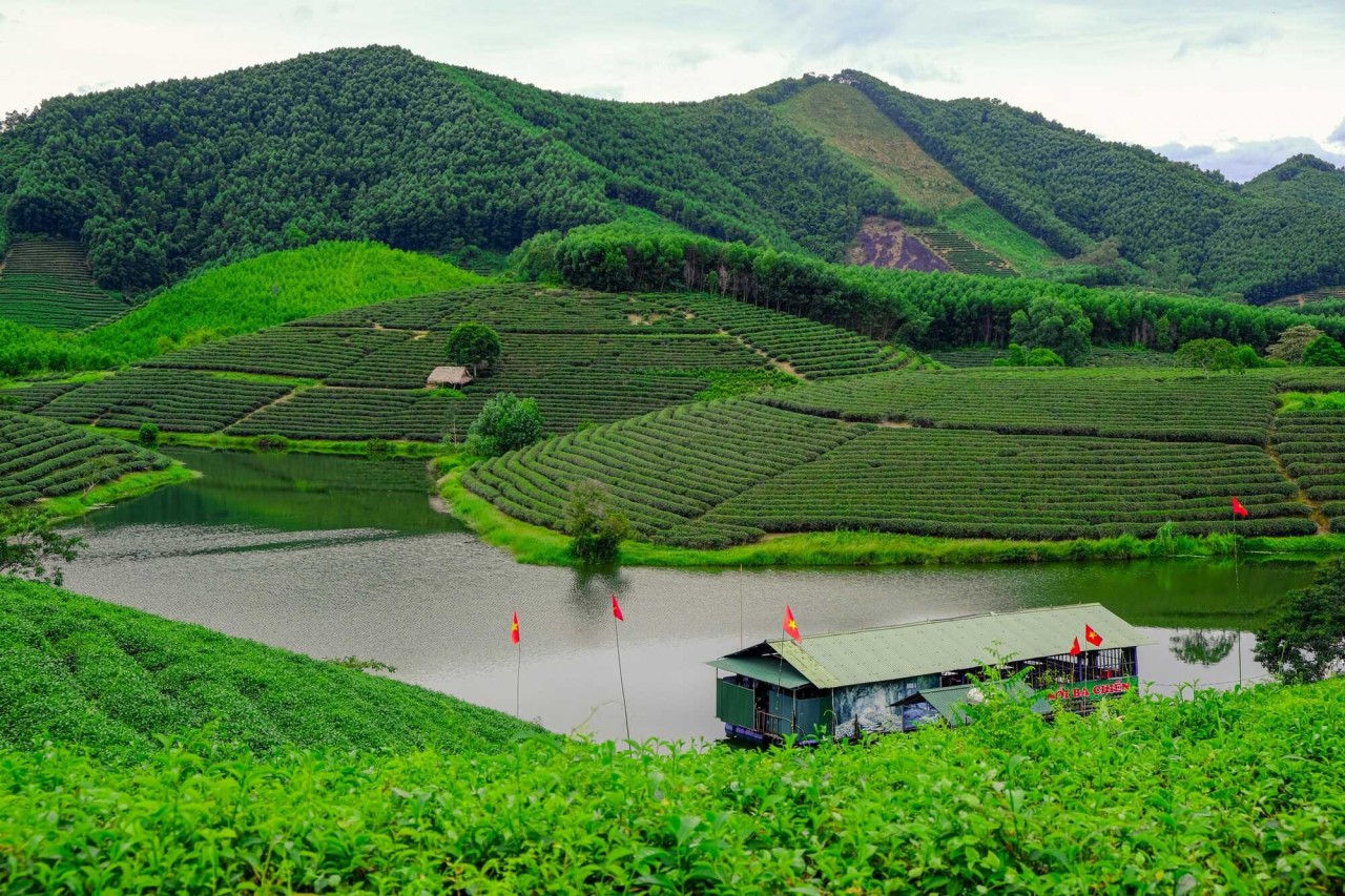 Photo: Linh Be Photo: Linh Be