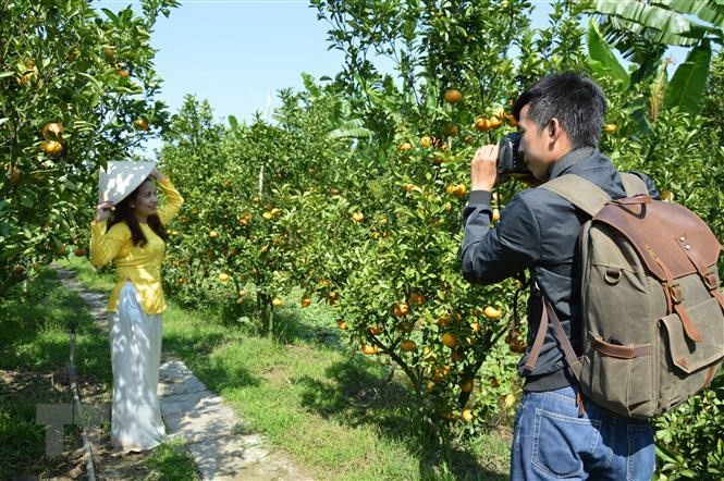 Phát triển vùng Đồng bằng sông Cửu Long: Tăng sức hút cho du lịch | Điểm đến | Vietnam+ (VietnamPlus) Phát triển vùng Đồng bằng sông Cửu Long: Tăng sức hút cho du lịch | Điểm đến | Vietnam+ (VietnamPlus)