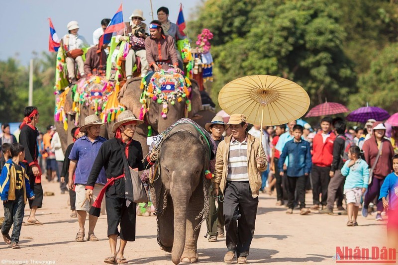 Độc đáo lễ hội voi ở Lào Độc đáo lễ hội voi ở Lào