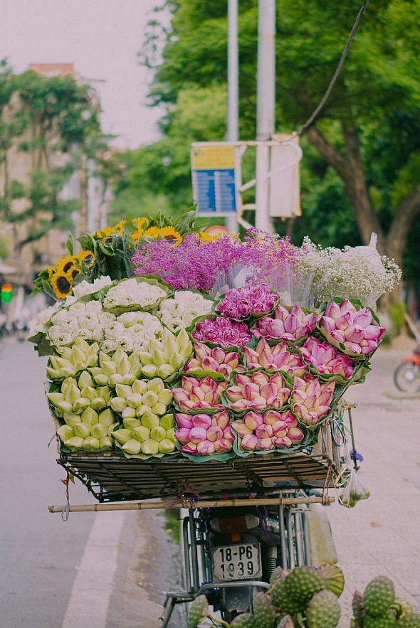Ten Experiences to Try in Vietnam, Suggested by the UK's Press Ten Experiences to Try in Vietnam, Suggested by the UK's Press