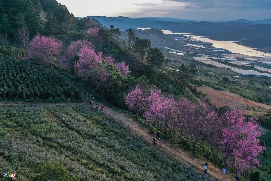 Photo: Duy Hieu. Photo: Duy Hieu.
