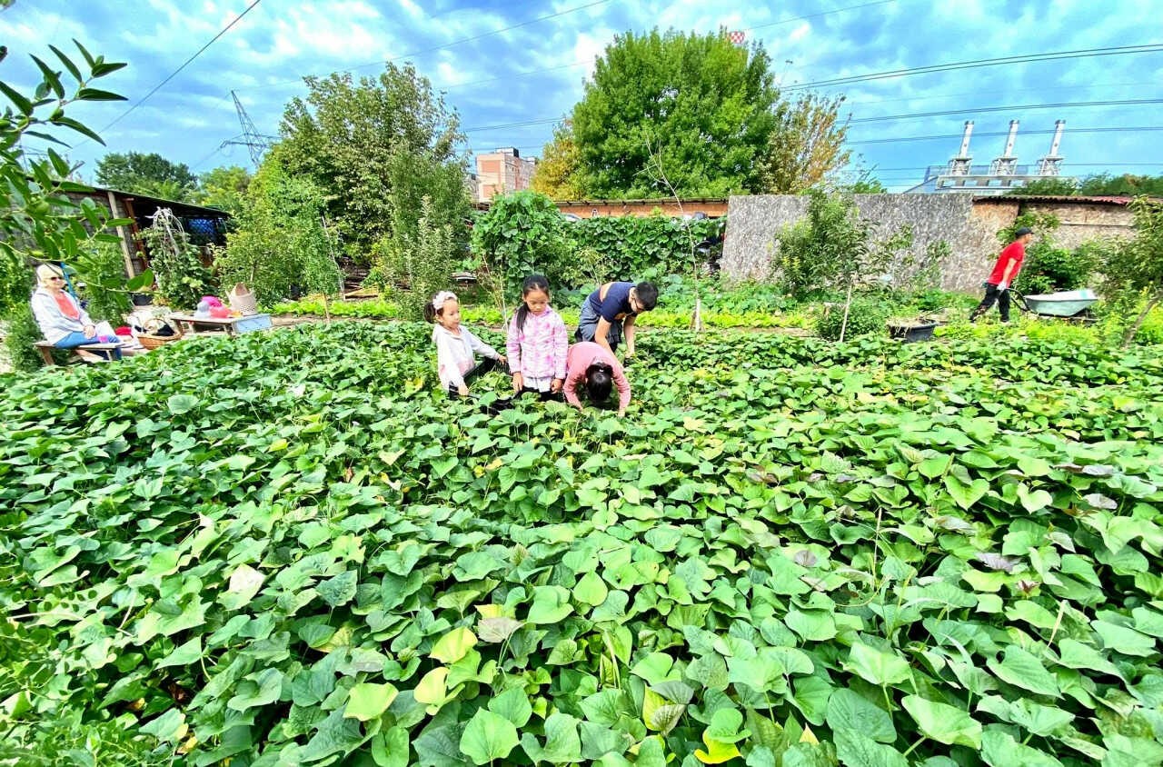 Thao's garden is a favorite place to children to play in. Photo: Nguyen Phuong Thao Thao's garden is a favorite place to children to play in. Photo: Nguyen Phuong Thao