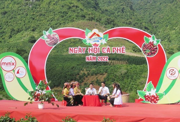 Đẩy mạnh quảng bá, nâng cao giá trị cà phê Sơn La | Báo Công Thương