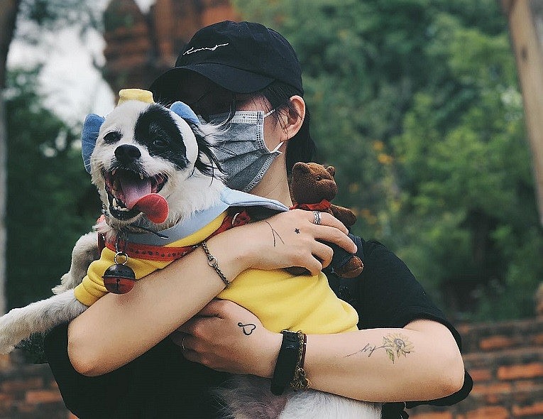 The Girl Who Takes Care of 29 Cats and Dogs The Girl Who Takes Care of 29 Cats and Dogs