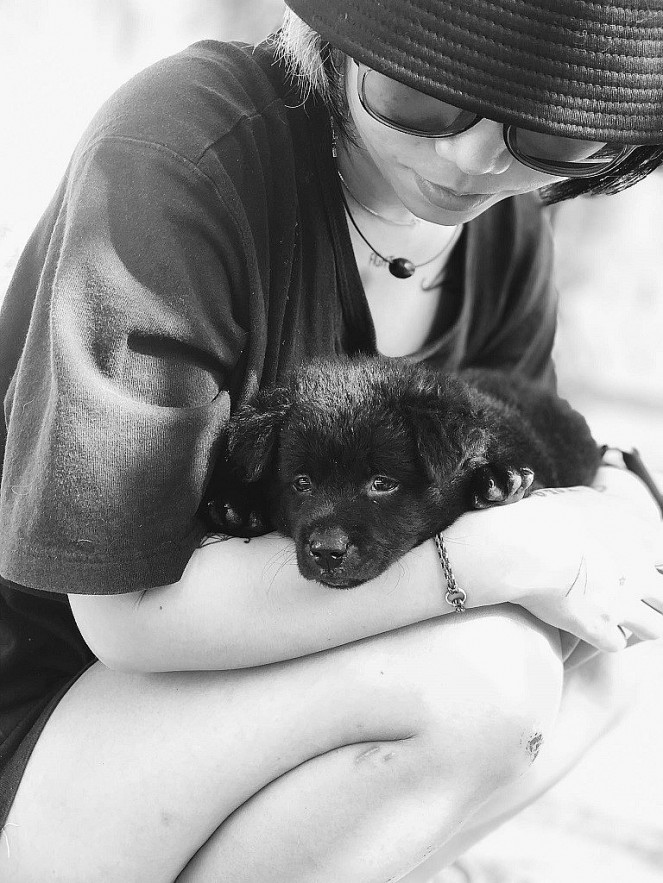 The Girl Who Takes Care of 29 Cats and Dogs The Girl Who Takes Care of 29 Cats and Dogs