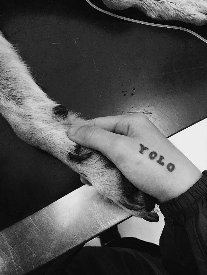 The Girl Who Takes Care of 29 Cats and Dogs The Girl Who Takes Care of 29 Cats and Dogs