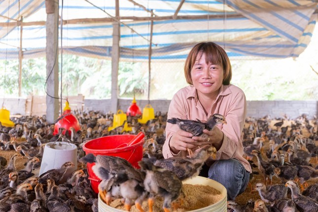 Empowering Ethnic Minorities Women through Village Savings and Loan Groups Empowering Ethnic Minorities Women through Village Savings and Loan Groups