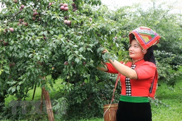 Giảm nghèo: Không hô khẩu hiệu, hướng tới sự bền vững, thiết thực | Xã hội | Vietnam+ (VietnamPlus) Giảm nghèo: Không hô khẩu hiệu, hướng tới sự bền vững, thiết thực | Xã hội | Vietnam+ (VietnamPlus)