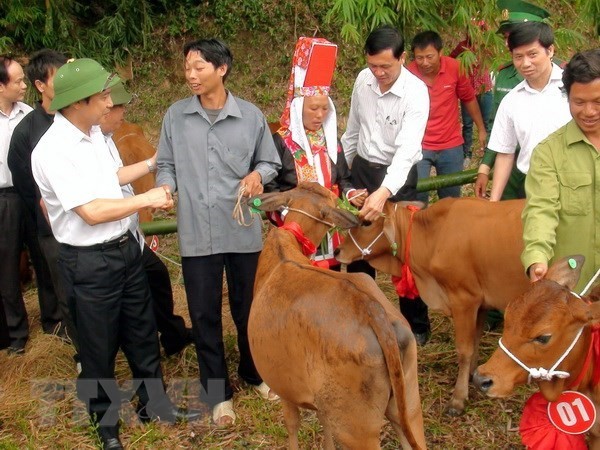 Giảm nghèo: Không hô khẩu hiệu, hướng tới sự bền vững, thiết thực | Xã hội | Vietnam+ (VietnamPlus) Giảm nghèo: Không hô khẩu hiệu, hướng tới sự bền vững, thiết thực | Xã hội | Vietnam+ (VietnamPlus)