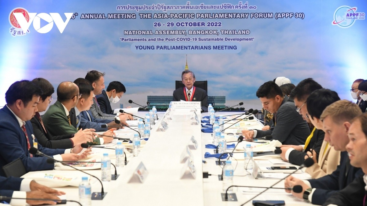 APPF-30: Quốc hội Việt Nam chia sẻ kinh nghiệm thúc đẩy phục hồi kinh tế hậu COVID-19 APPF-30: Quốc hội Việt Nam chia sẻ kinh nghiệm thúc đẩy phục hồi kinh tế hậu COVID-19