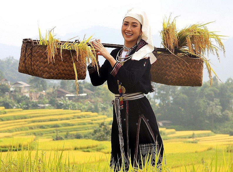 The Beauty of Hong Thai Terraced Fields in the Harvest Season The Beauty of Hong Thai Terraced Fields in the Harvest Season