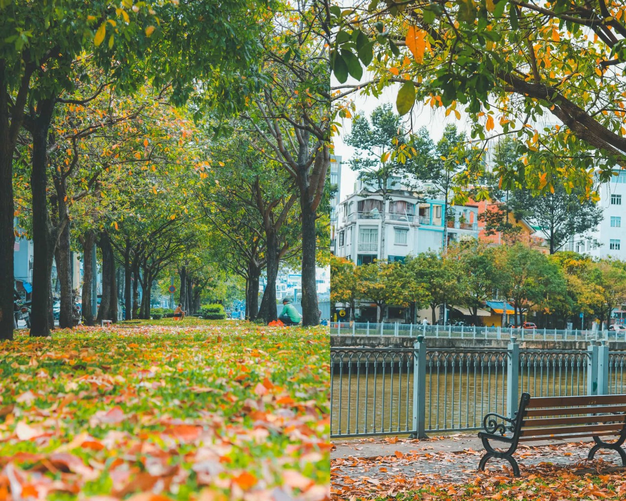 Photo: @minhquan.nguyen/ Instagram Photo: @minhquan.nguyen/ Instagram