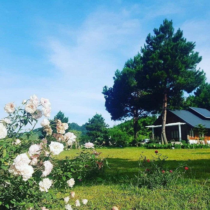 Lost in the Poetic and Pristine Hua Tat Pine Forest Get Lost in the Poetic and Pristine Hua Tat Pine Forest