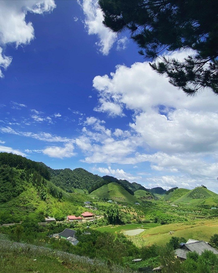 Lost in the Poetic and Pristine Hua Tat Pine Forest Get Lost in the Poetic and Pristine Hua Tat Pine Forest
