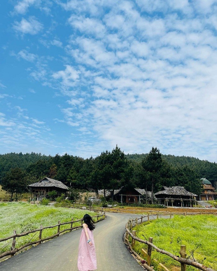 Lost in the Poetic and Pristine Hua Tat Pine Forest Get Lost in the Poetic and Pristine Hua Tat Pine Forest