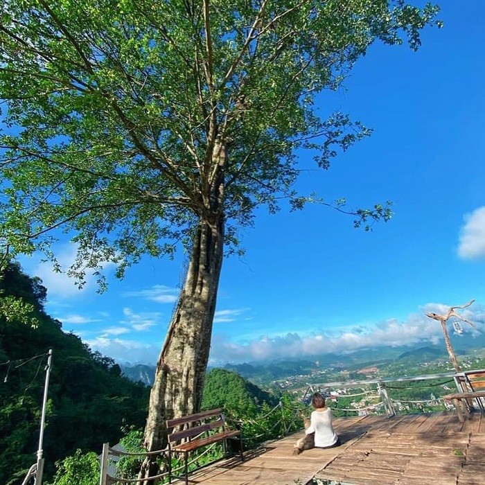 Lost in the Poetic and Pristine Hua Tat Pine Forest Get Lost in the Poetic and Pristine Hua Tat Pine Forest