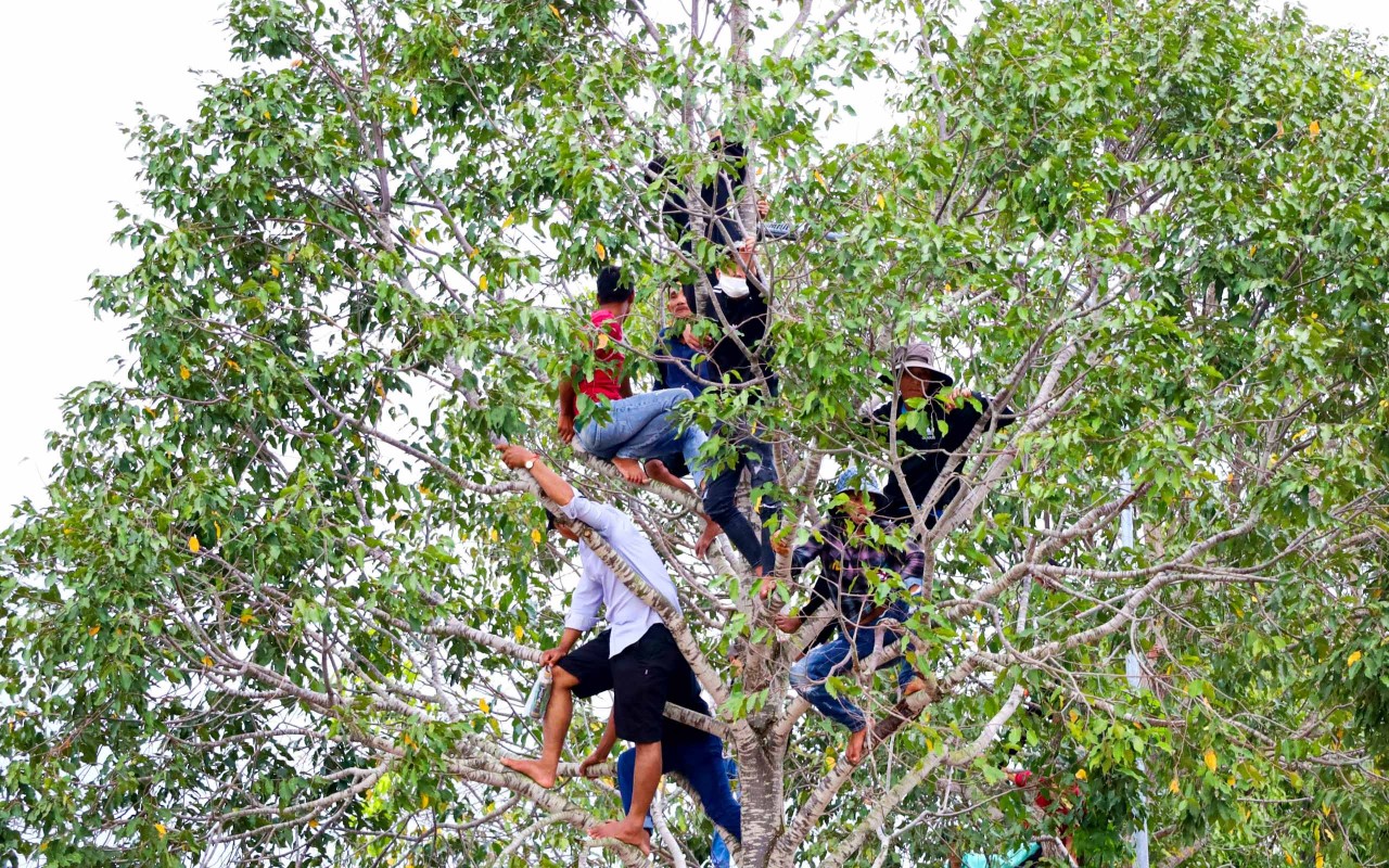 Tưng bừng giải đua ghe Ngo Đồng bằng sông Cửu Long lần thứ V Tưng bừng giải đua ghe Ngo Đồng bằng sông Cửu Long lần thứ V