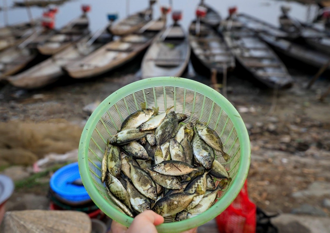 Photo: Pham Trong Tin Photo: Pham Trong Tin