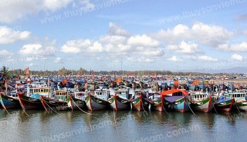 Nghệ An thực hiện đồng bộ, quyết liệt nhằm chấm dứt hoàn toàn các hành vi vi phạm khai thác IUU