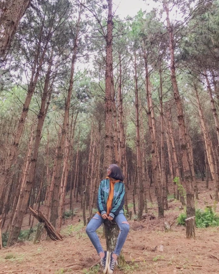 Photo: thaoo_thaoo2222 Photo: thaoo_thaoo2222