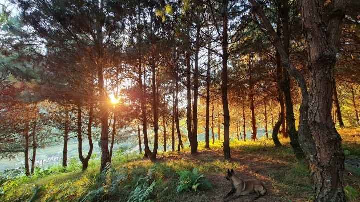 Photo: Dinh Quoc Hung Photo: Dinh Quoc Hung