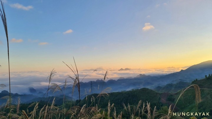 Photo: Dinh Quoc Hung Photo: Dinh Quoc Hung