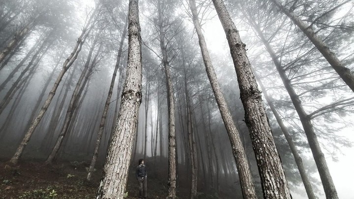 Photo: hmlarchitecture Photo: hmlarchitecture