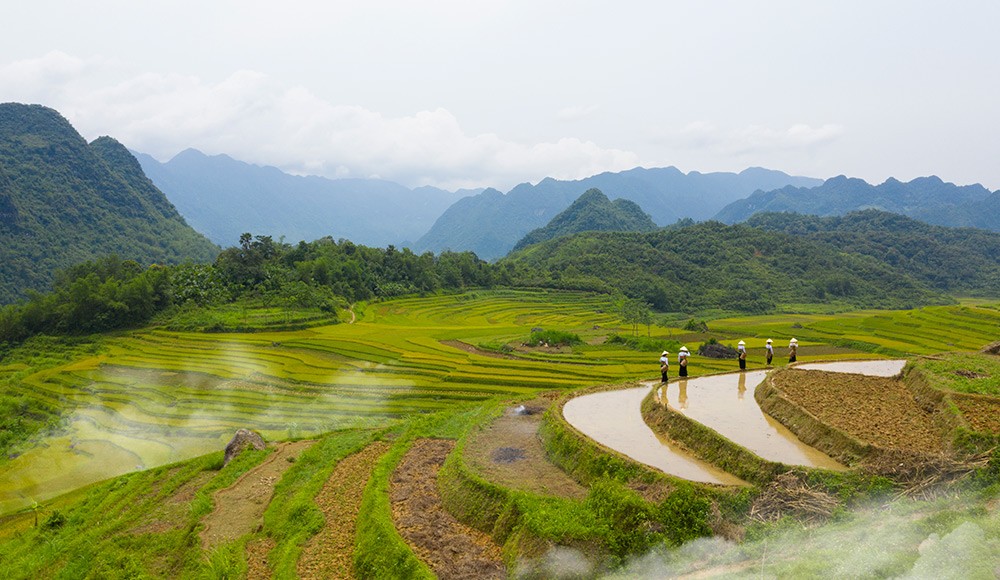 Photo: Puluong Natura Bungalow Photo: Puluong Natura Bungalow