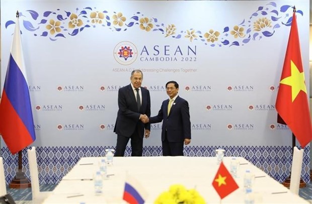 Nga mong muốn Việt Nam tiếp tục là cầu nối với các nước ASEAN | Chính trị | Vietnam+ (VietnamPlus)